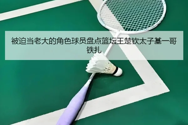 被迫当老大的角色球员盘点篮坛王楚钦太子基一哥铁扎 | xingkong